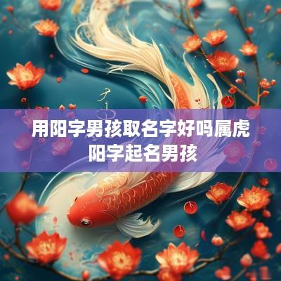 用阳字男孩取名字好吗属虎 阳字起名男孩