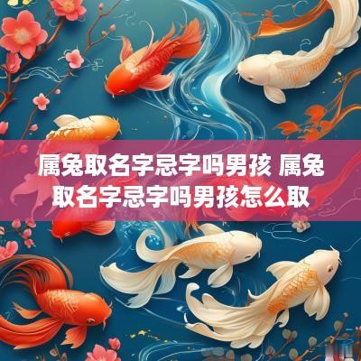 属兔取名字忌字吗男孩 属兔取名字忌字吗男孩怎么取