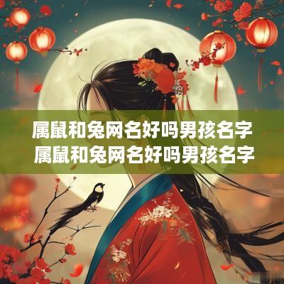 属鼠和兔网名好吗男孩名字 属鼠和兔网名好吗男孩名字怎么取