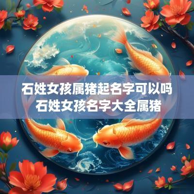 石姓女孩属猪起名字可以吗 石姓女孩名字大全属猪