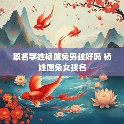取名字姓杨属兔男孩好吗 杨姓属兔女孩名