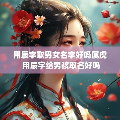 用辰字取男女名字好吗属虎 用辰字给男孩取名好吗