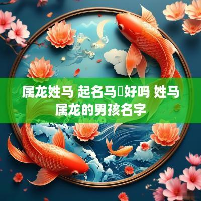 属龙姓马 起名马璟好吗 姓马属龙的男孩名字