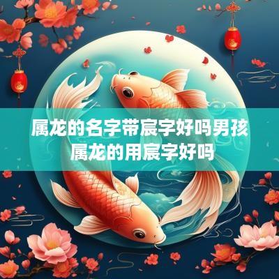 属龙的名字带宸字好吗男孩 属龙的用宸字好吗