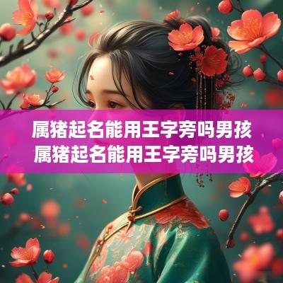 属猪起名能用王字旁吗男孩 属猪起名能用王字旁吗男孩名字