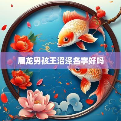 属龙男孩王沼泽名字好吗