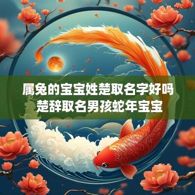 属兔的宝宝姓楚取名字好吗 楚辞取名男孩蛇年宝宝