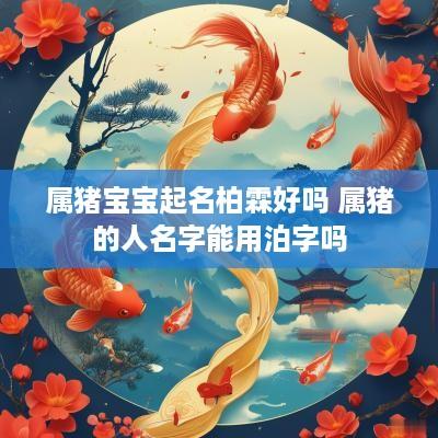属猪宝宝起名柏霖好吗 属猪的人名字能用泊字吗