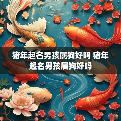 猪年起名男孩属狗好吗 猪年起名男孩属狗好吗