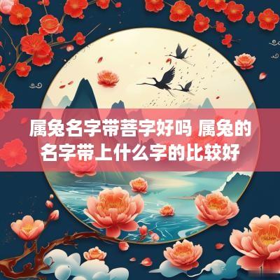 属兔名字带菩字好吗 属兔的名字带上什么字的比较好