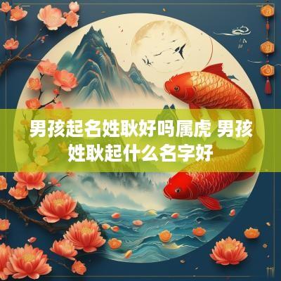 男孩起名姓耿好吗属虎 男孩姓耿起什么名字好