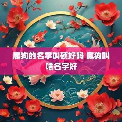 属狗的名字叫硕好吗 属狗叫啥名字好