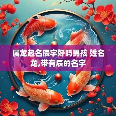 属龙起名辰字好吗男孩 姓名龙,带有辰的名字