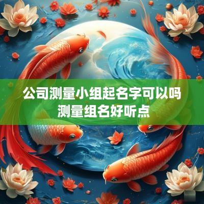公司测量小组起名字可以吗 测量组名好听点