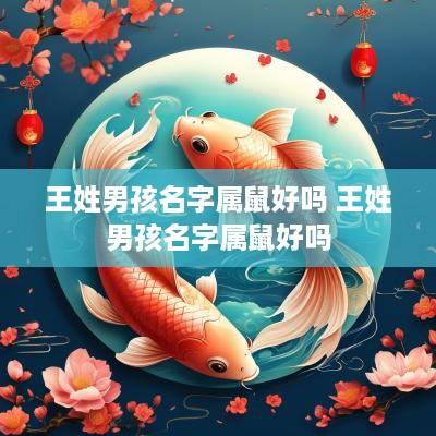 王姓男孩名字属鼠好吗 王姓男孩名字属鼠好吗