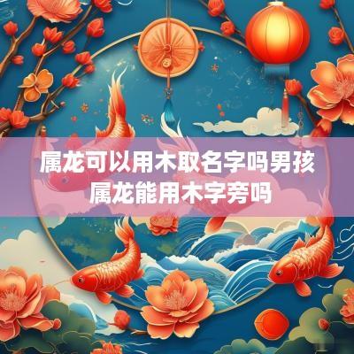 属龙可以用木取名字吗男孩 属龙能用木字旁吗