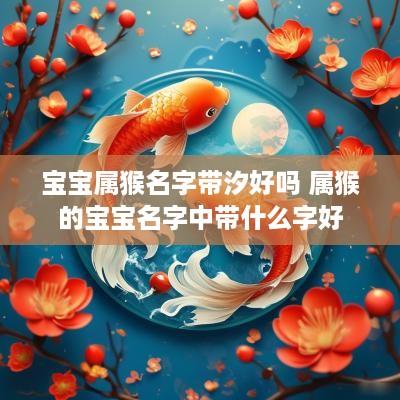 宝宝属猴名字带汐好吗 属猴的宝宝名字中带什么字好