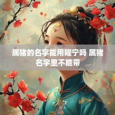 属猪的名字能用曜宁吗 属猪名字里不能带