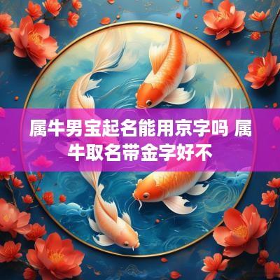 属牛男宝起名能用京字吗 属牛取名带金字好不