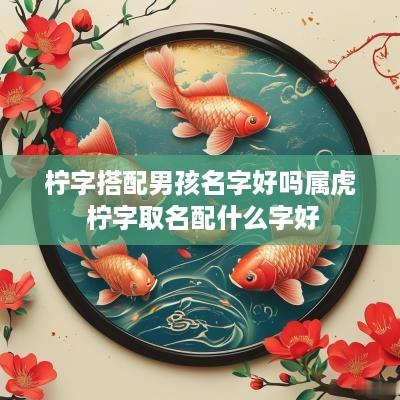 柠字搭配男孩名字好吗属虎 柠字取名配什么字好