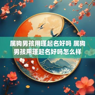 属狗男孩用瑾起名好吗 属狗男孩用瑾起名好吗怎么样