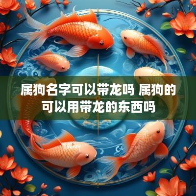 属狗名字可以带龙吗 属狗的可以用带龙的东西吗