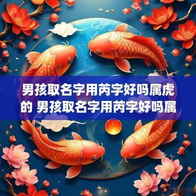 男孩取名字用芮字好吗属虎的 男孩取名字用芮字好吗属虎的人