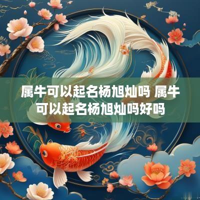 属牛可以起名杨旭灿吗 属牛可以起名杨旭灿吗好吗
