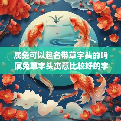 属兔可以起名带草字头的吗 属兔草字头寓意比较好的字