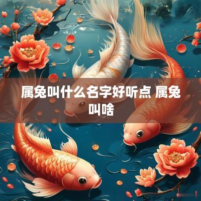 属兔叫什么名字好听点 属兔叫啥