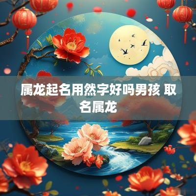 属龙起名用然字好吗男孩 取名属龙