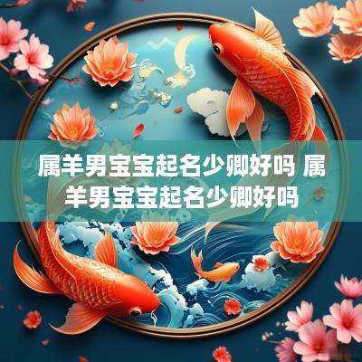 属羊男宝宝起名少卿好吗 属羊男宝宝起名少卿好吗