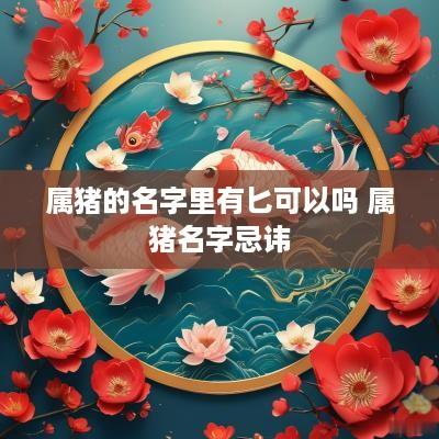 属猪的名字里有匕可以吗 属猪名字忌讳
