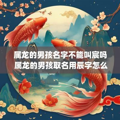 属龙的男孩名字不能叫宸吗 属龙的男孩取名用辰字怎么样