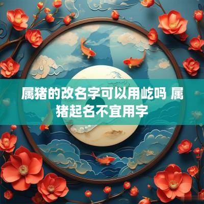 属猪的改名字可以用屹吗 属猪起名不宜用字