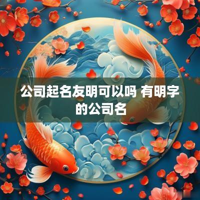 公司起名友明可以吗 有明字的公司名