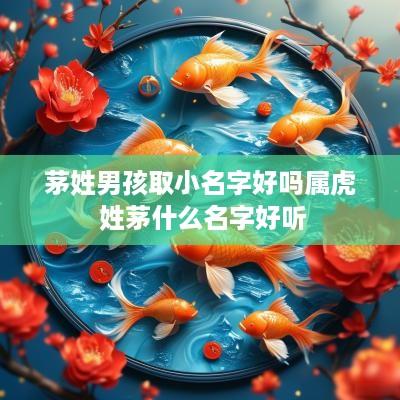 茅姓男孩取小名字好吗属虎 姓茅什么名字好听