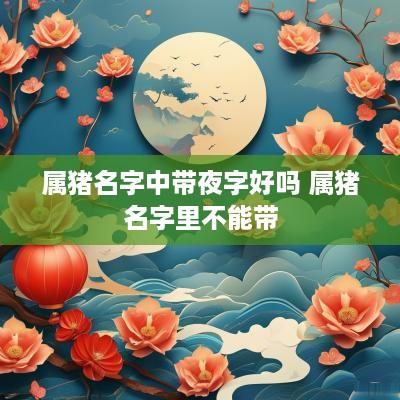 属猪名字中带夜字好吗 属猪名字里不能带