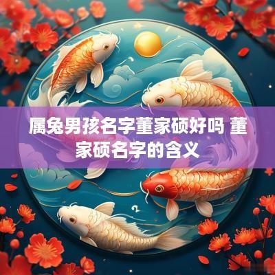 属兔男孩名字董家硕好吗 董家硕名字的含义