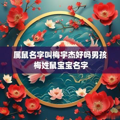属鼠名字叫梅宇杰好吗男孩 梅姓鼠宝宝名字