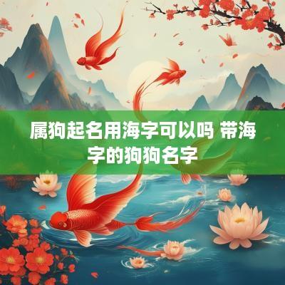 属狗起名用海字可以吗 带海字的狗狗名字