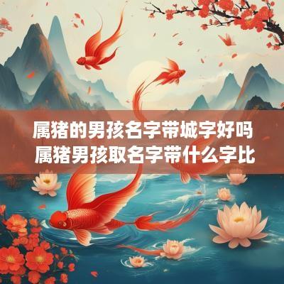 属猪的男孩名字带城字好吗 属猪男孩取名字带什么字比较好