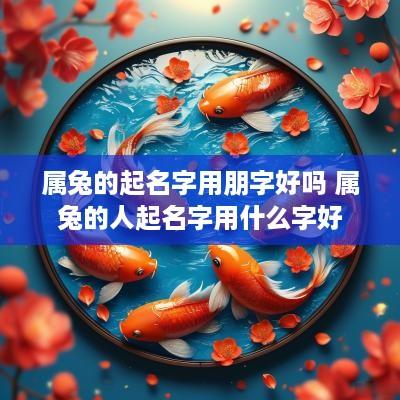 属兔的起名字用朋字好吗 属兔的人起名字用什么字好