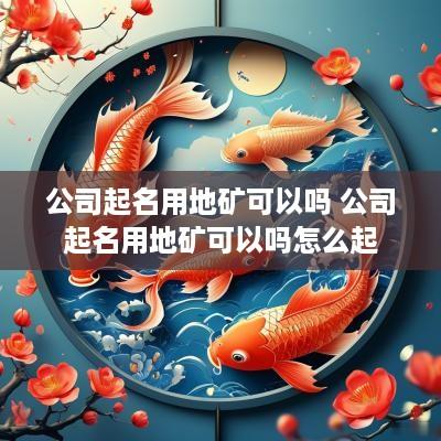 公司起名用地矿可以吗 公司起名用地矿可以吗怎么起