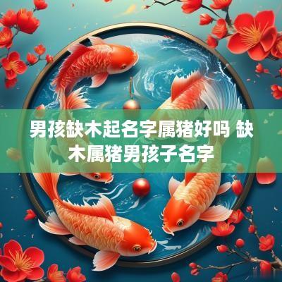 男孩缺木起名字属猪好吗 缺木属猪男孩子名字