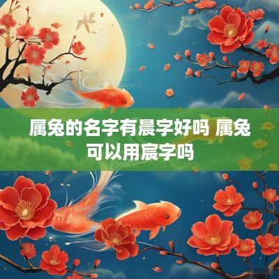 属兔的名字有晨字好吗 属兔可以用宸字吗