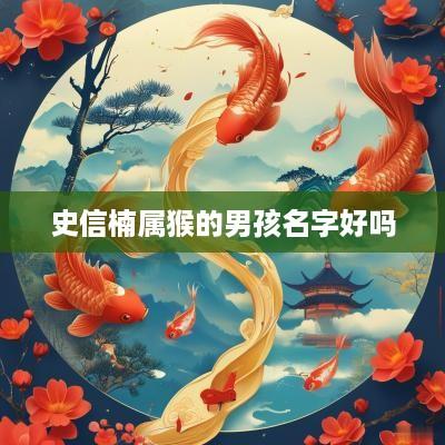 史信楠属猴的男孩名字好吗
