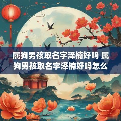 属狗男孩取名字泽楠好吗 属狗男孩取名字泽楠好吗怎么样