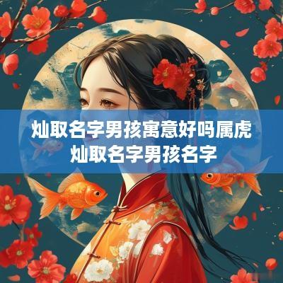 灿取名字男孩寓意好吗属虎 灿取名字男孩名字