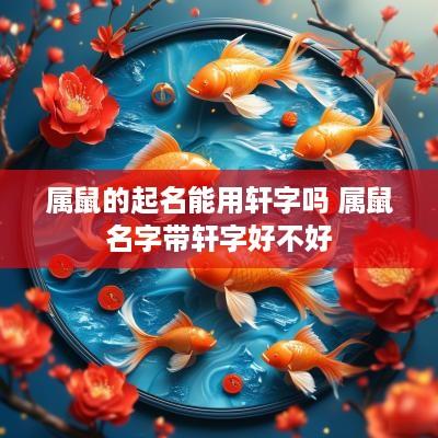 属鼠的起名能用轩字吗 属鼠名字带轩字好不好